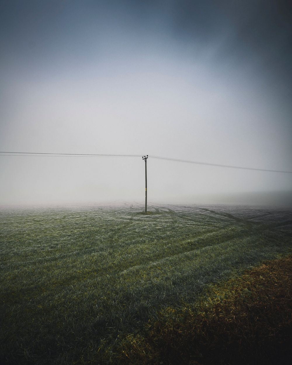 Frosty field with electric pole in a misty day
