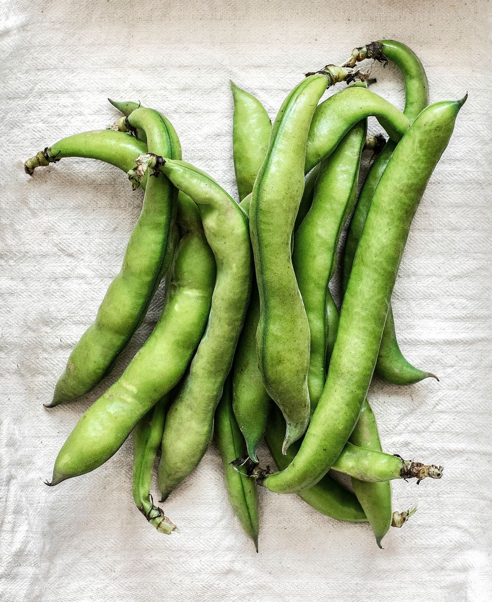 Fresh organic broad beans on a white cloth aerial view