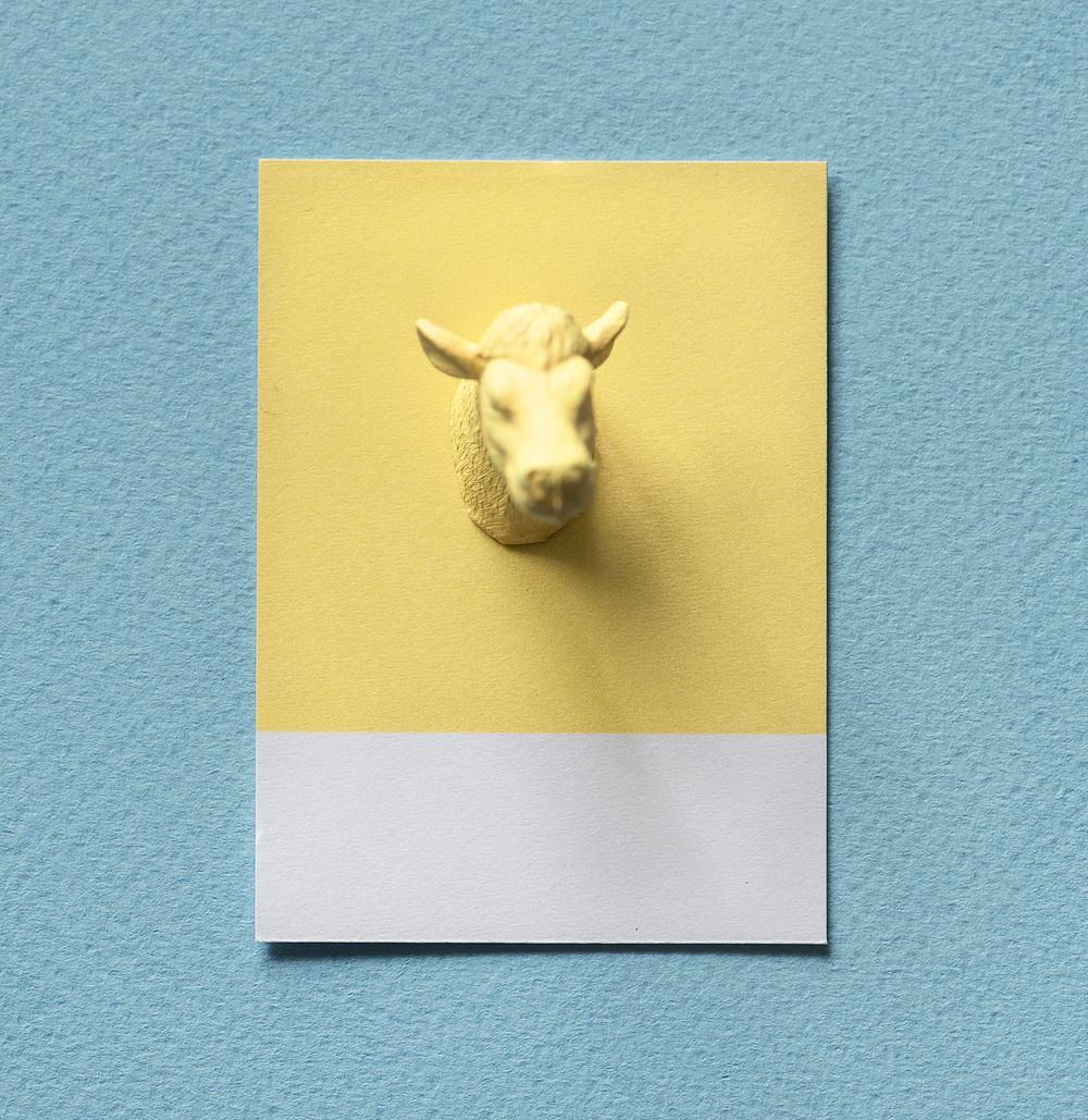 Yellow bulls head on paper