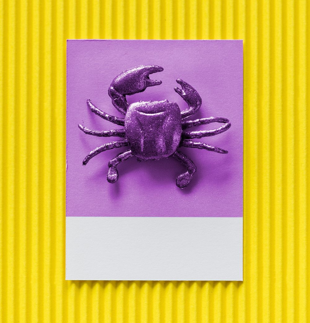 Little cute crab on a paper
