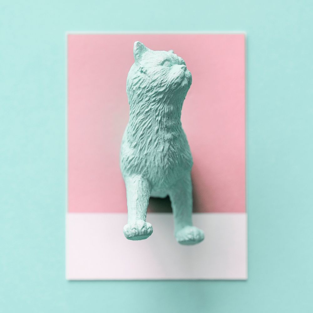 Half of cat figure on a pink paper