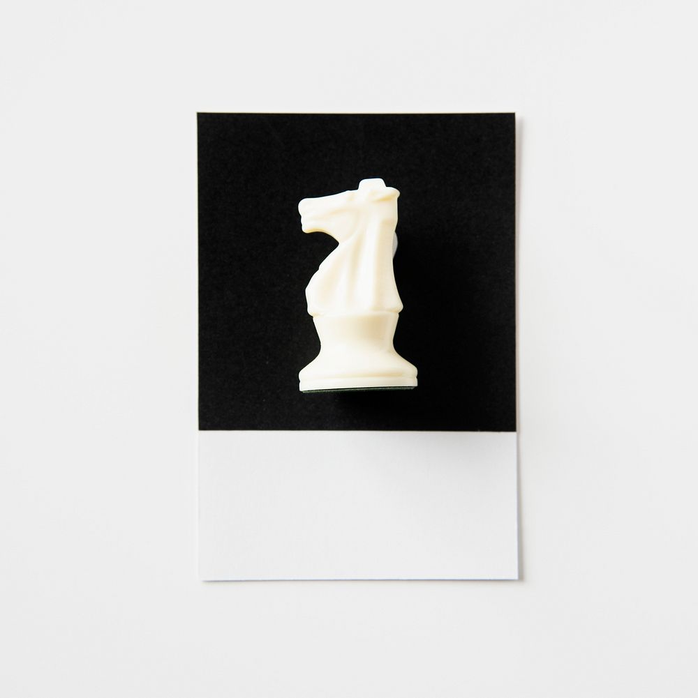 Monochrome shot of a knight chess piece