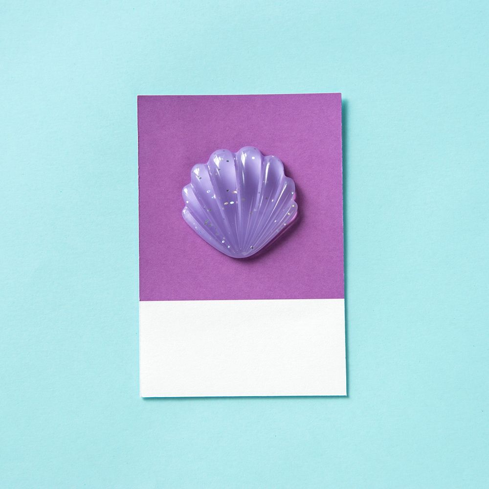 Purple sea shell clam toy