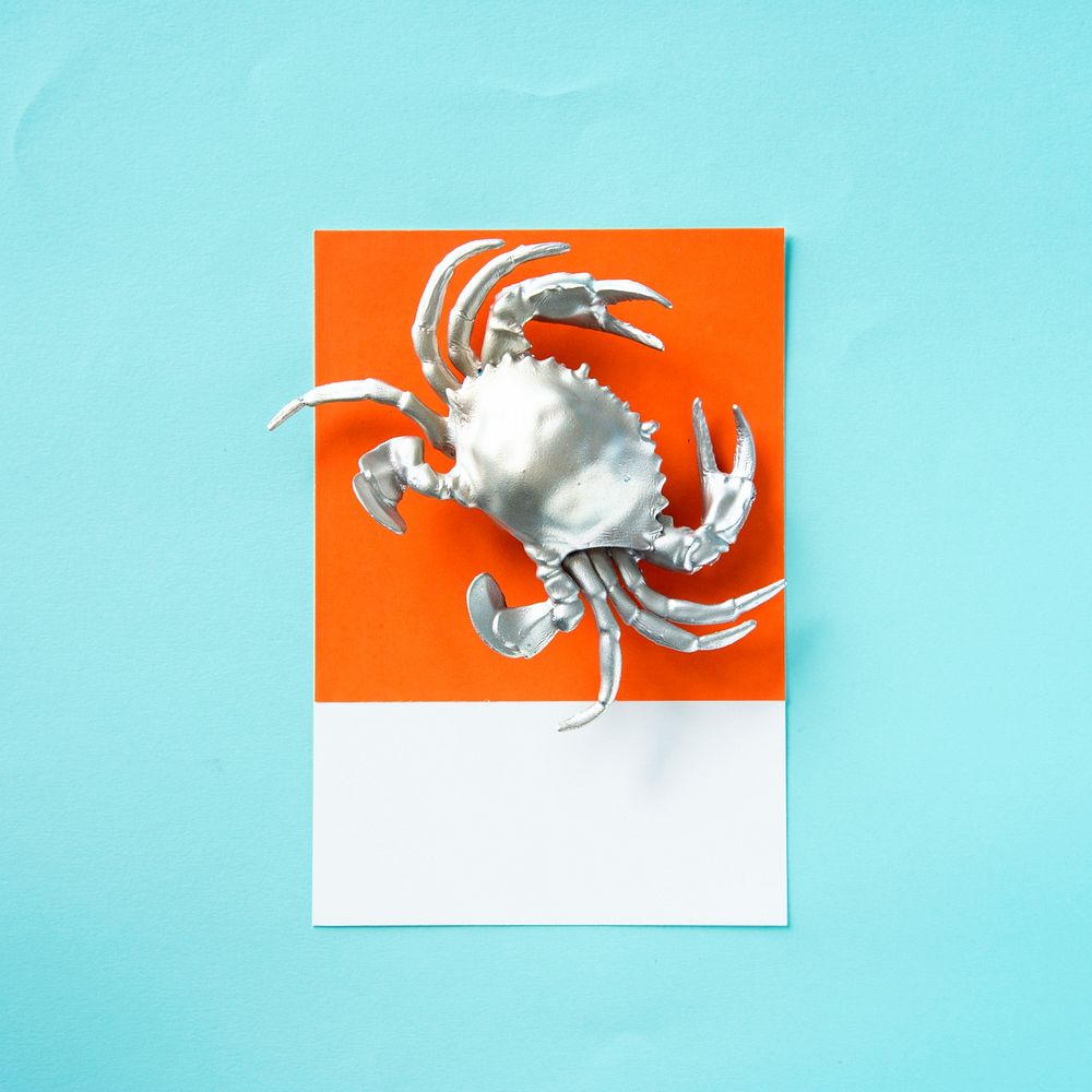 Silver crustacean crab on paper
