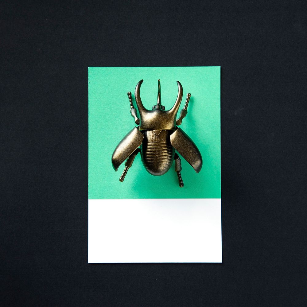 Winged beetle insect toy object