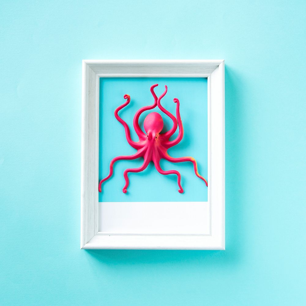 Toy octopus on a frame