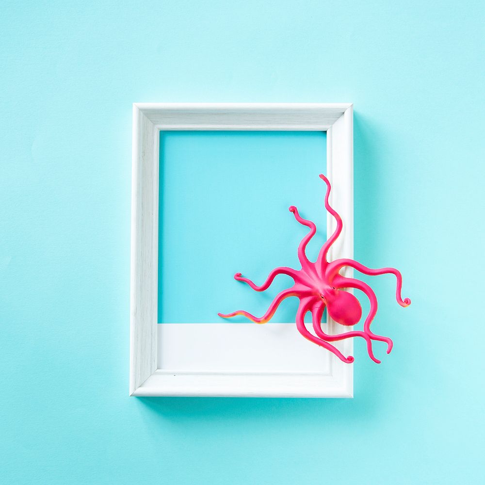 Toy octopus on a frame