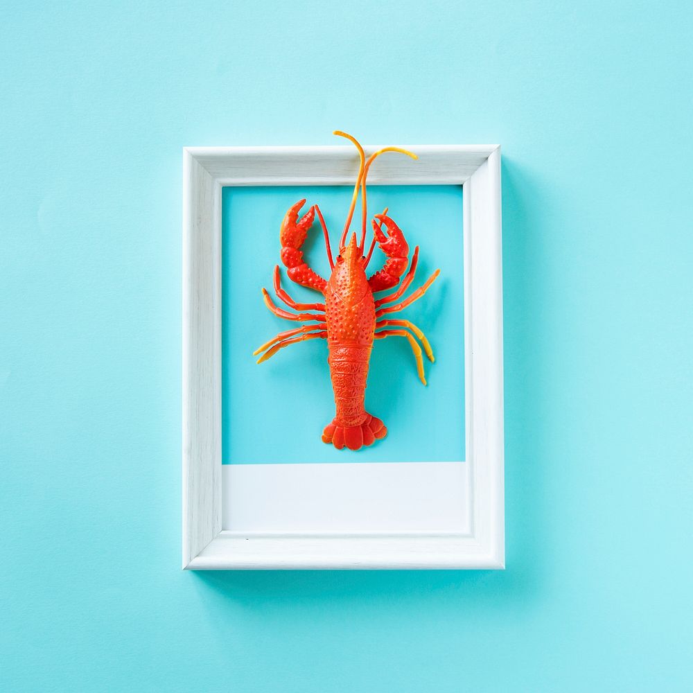Lobster seafood toy on a frame