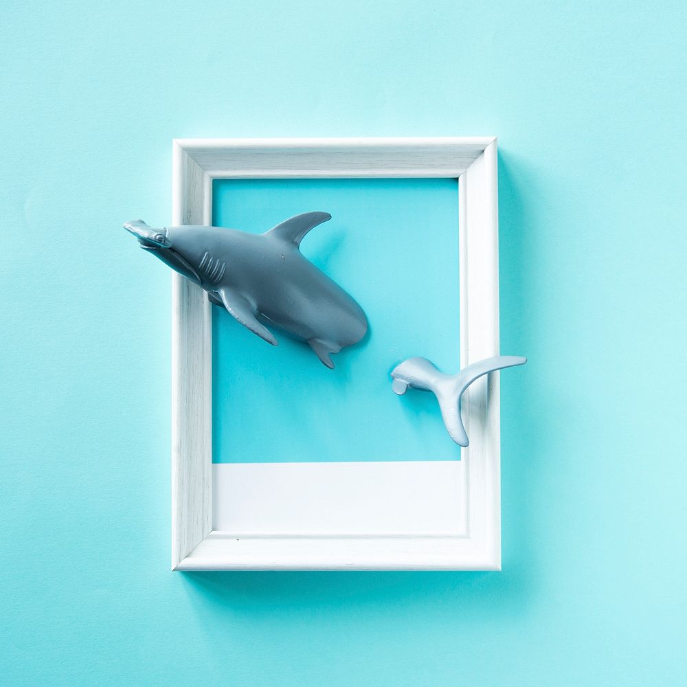 Toy sharks swimming in a frame