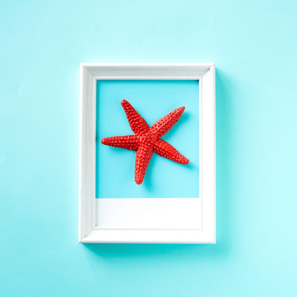Starfish shape on a frame