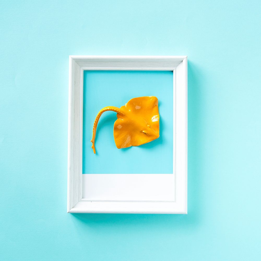 Sting ray toy on a frame