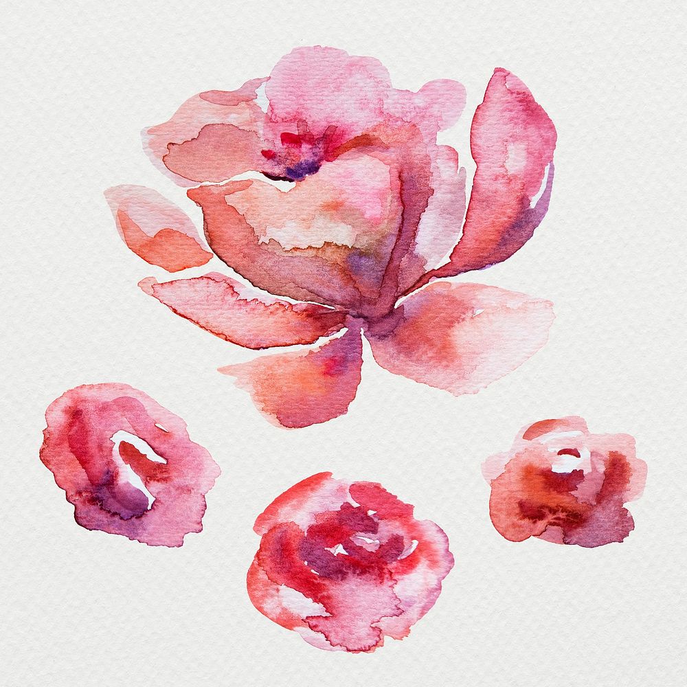 Colorful watercolor natural flower illustration