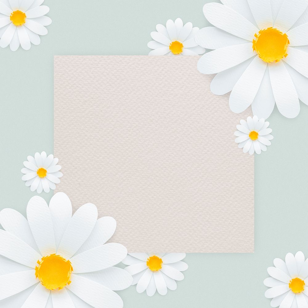 White daisy flower frame on light blue background illustration