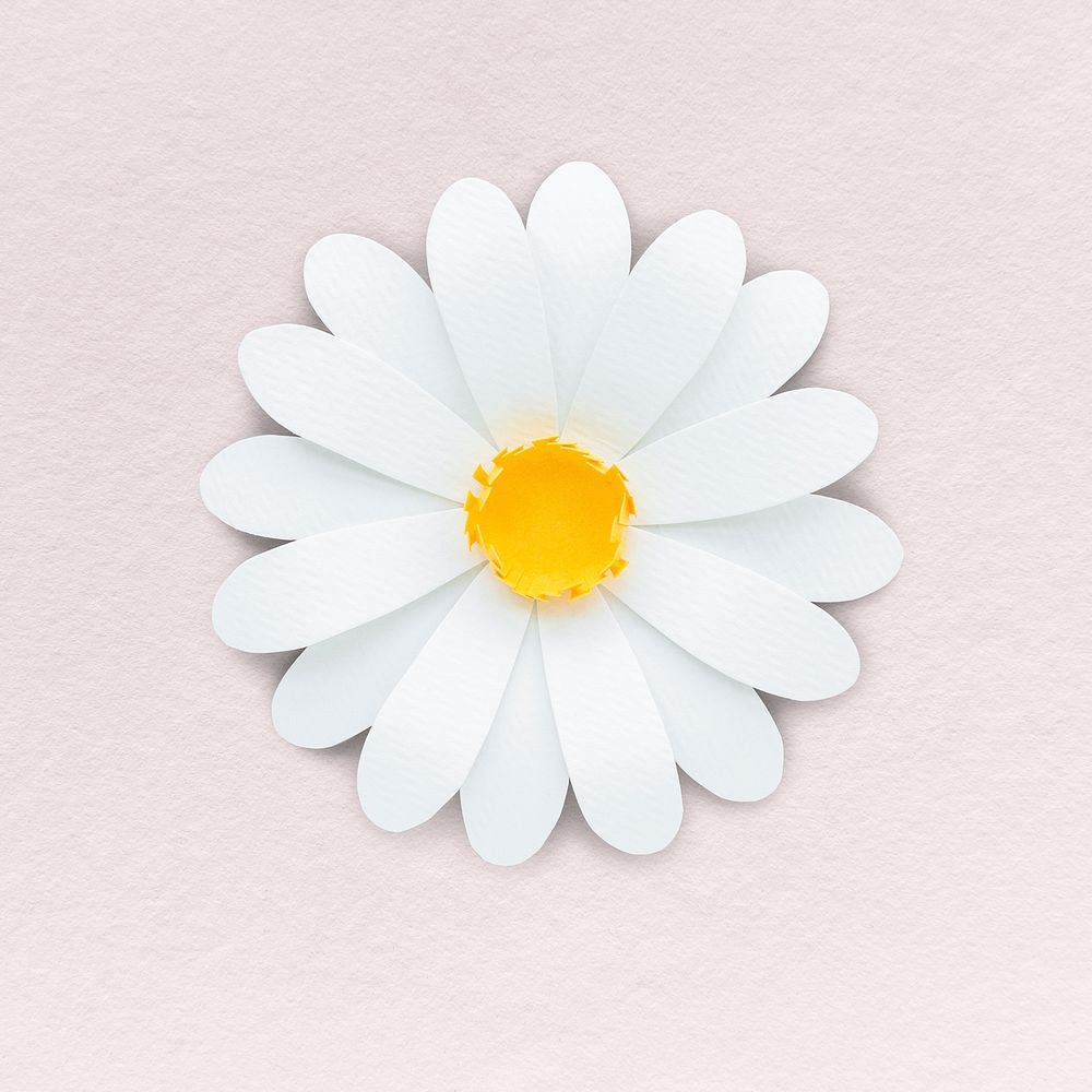White daisy flower paper craft