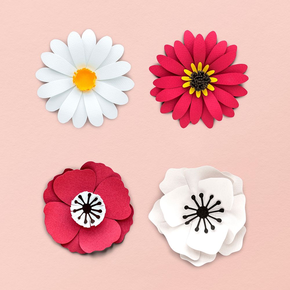 White and pink flower paper craft set