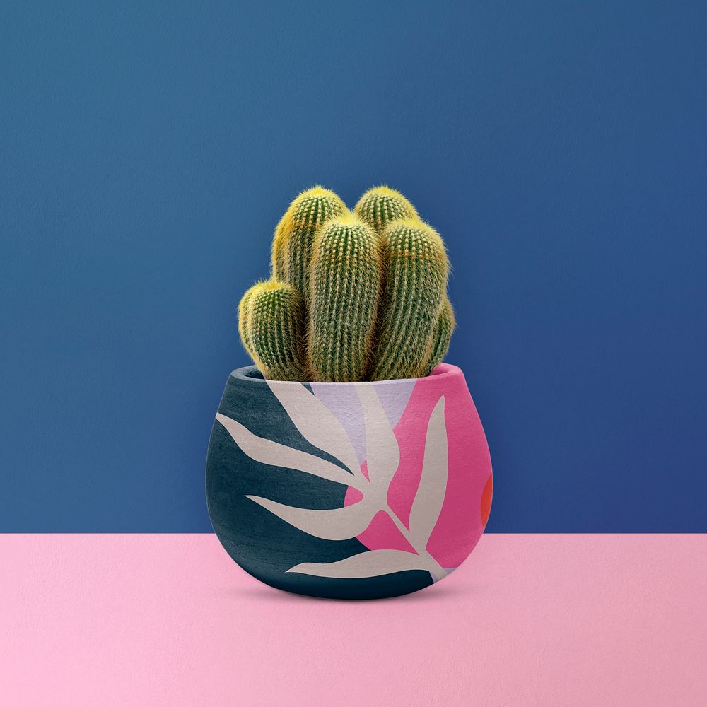 Sea sand cactus psd mockup in a pot