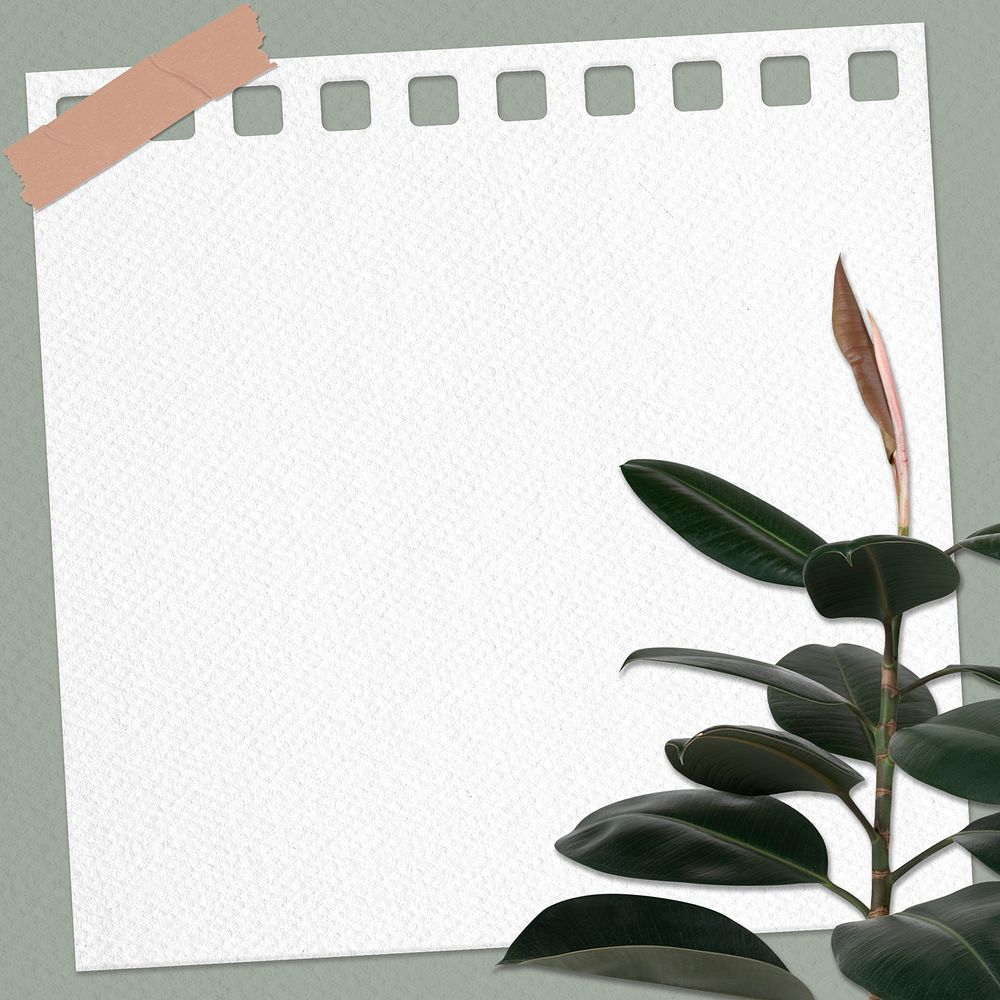 Paper note psd with rubber plant