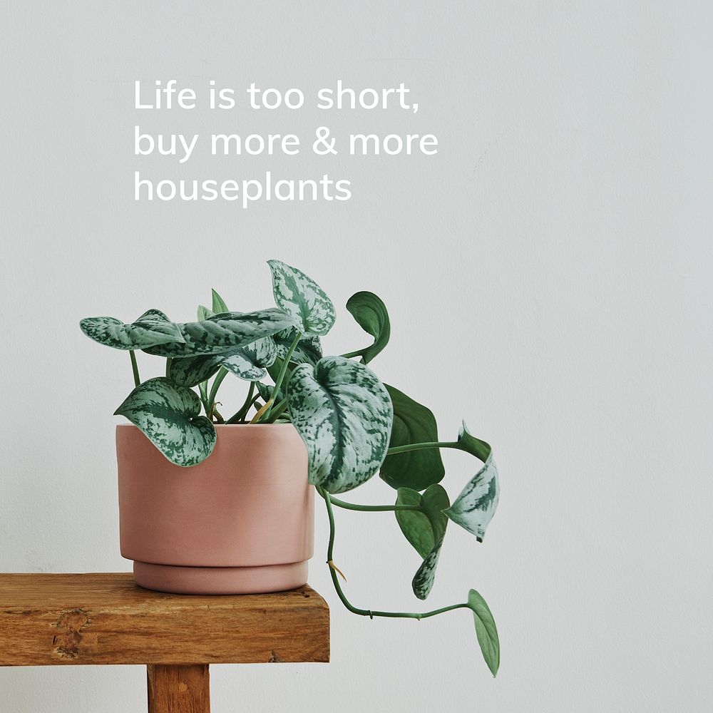 Houseplant quote template vector, life is short buy more and more houseplants