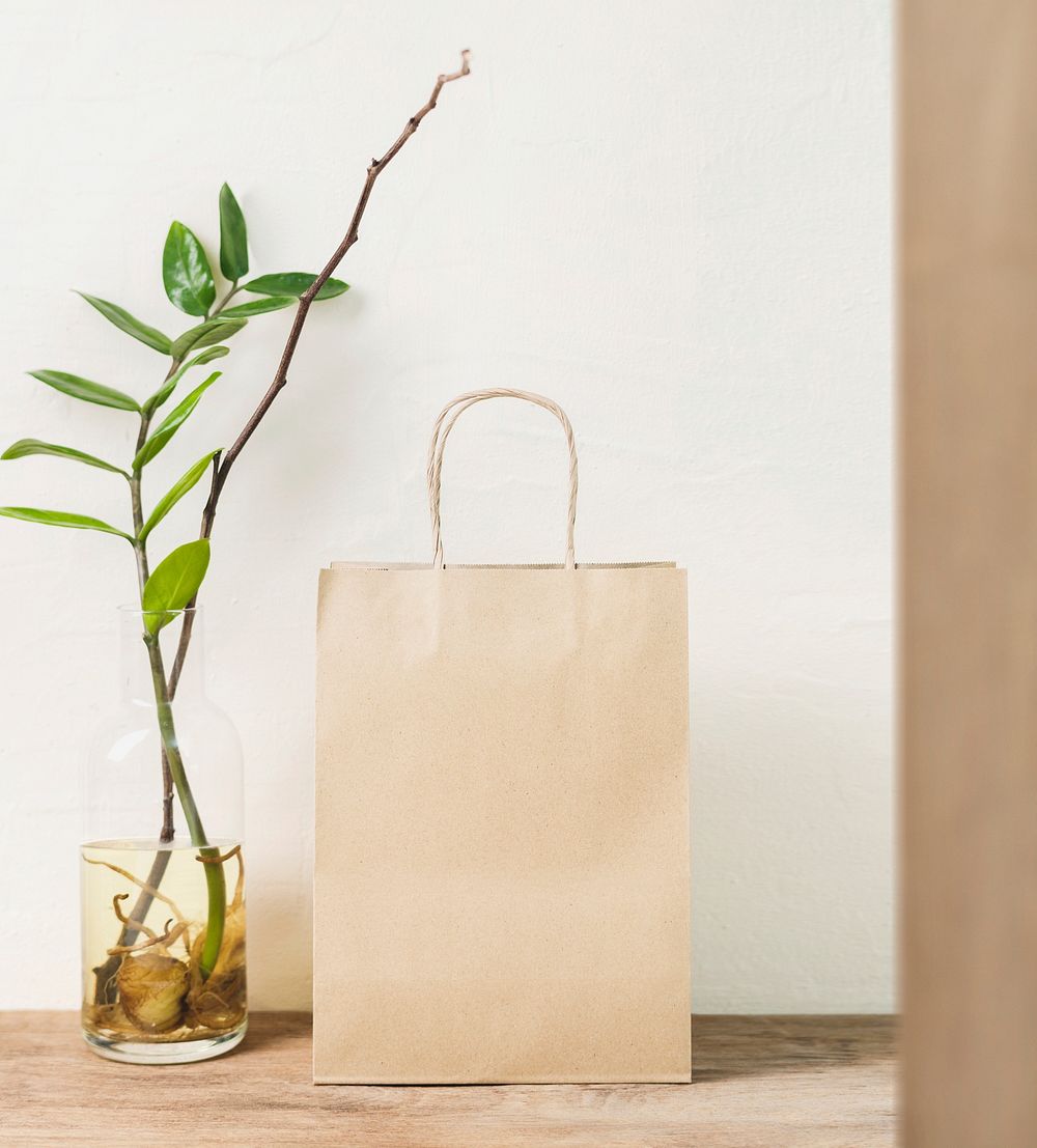 Brown paper bag, home decor with green plant in a vase