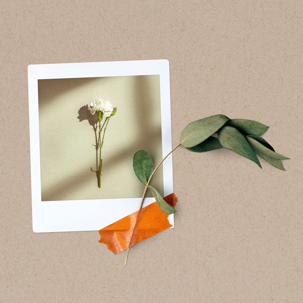 Instant photo frame mockup, botanical design psd