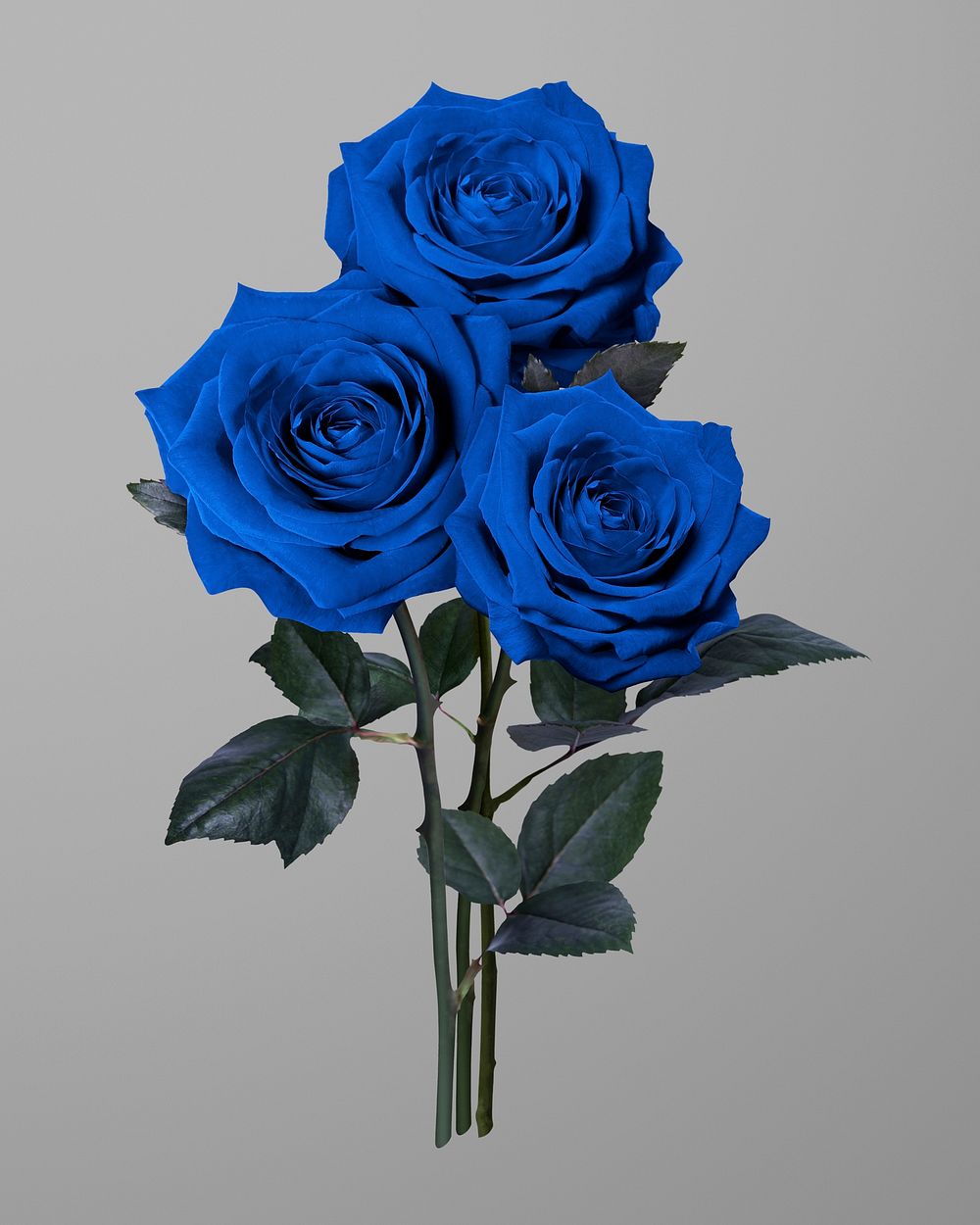 Blue roses, collage element psd