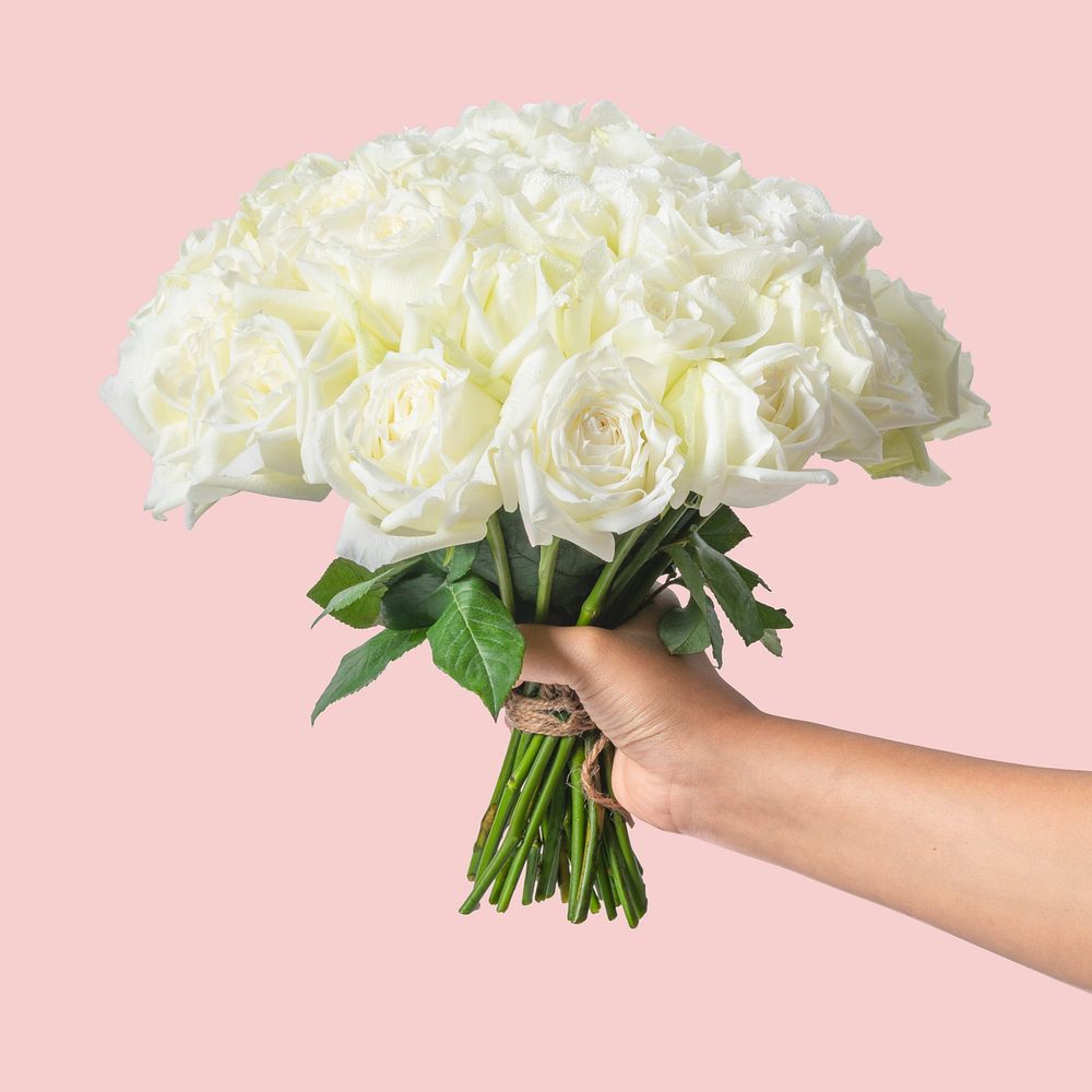 Woman holding white rose bouquet | Free Photo - rawpixel