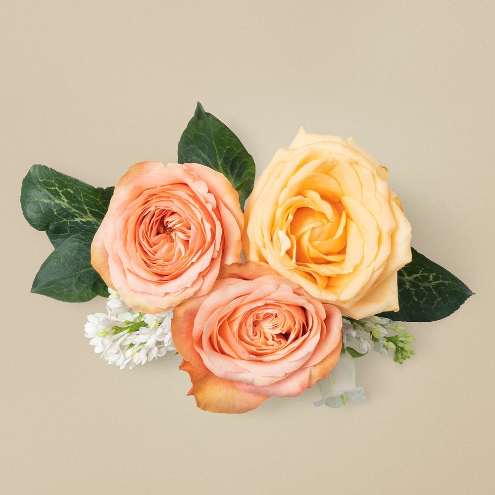 Orange rose bouquet, collage element psd