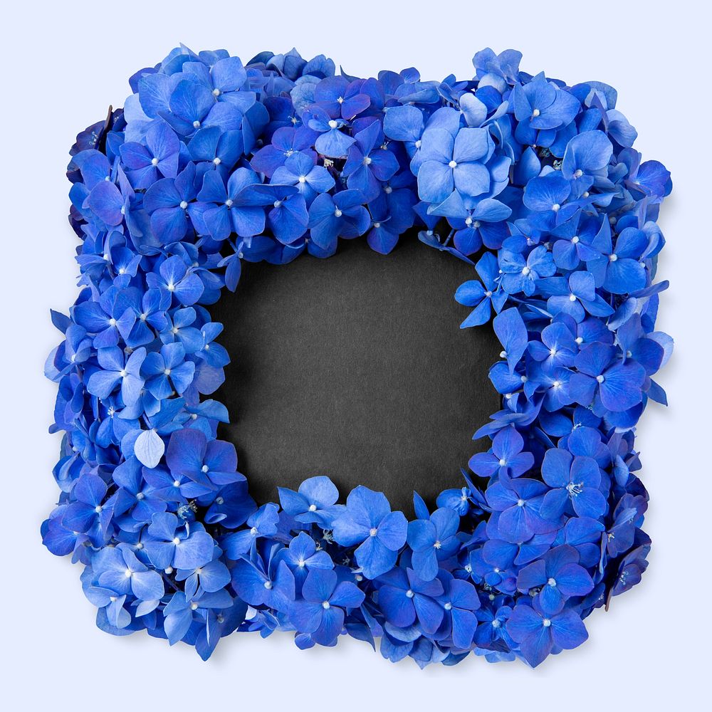 Blue hydrangea square wreath, black background design
