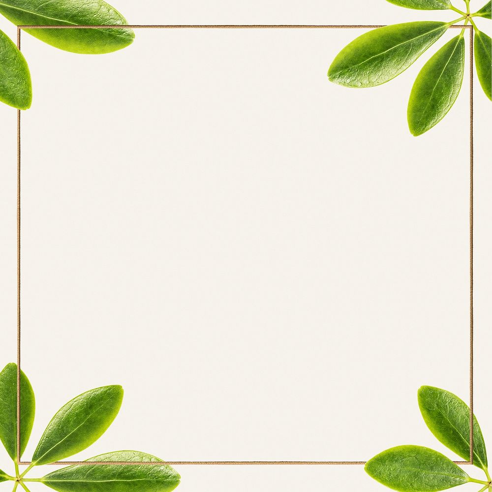 Green leaves with golden square frame