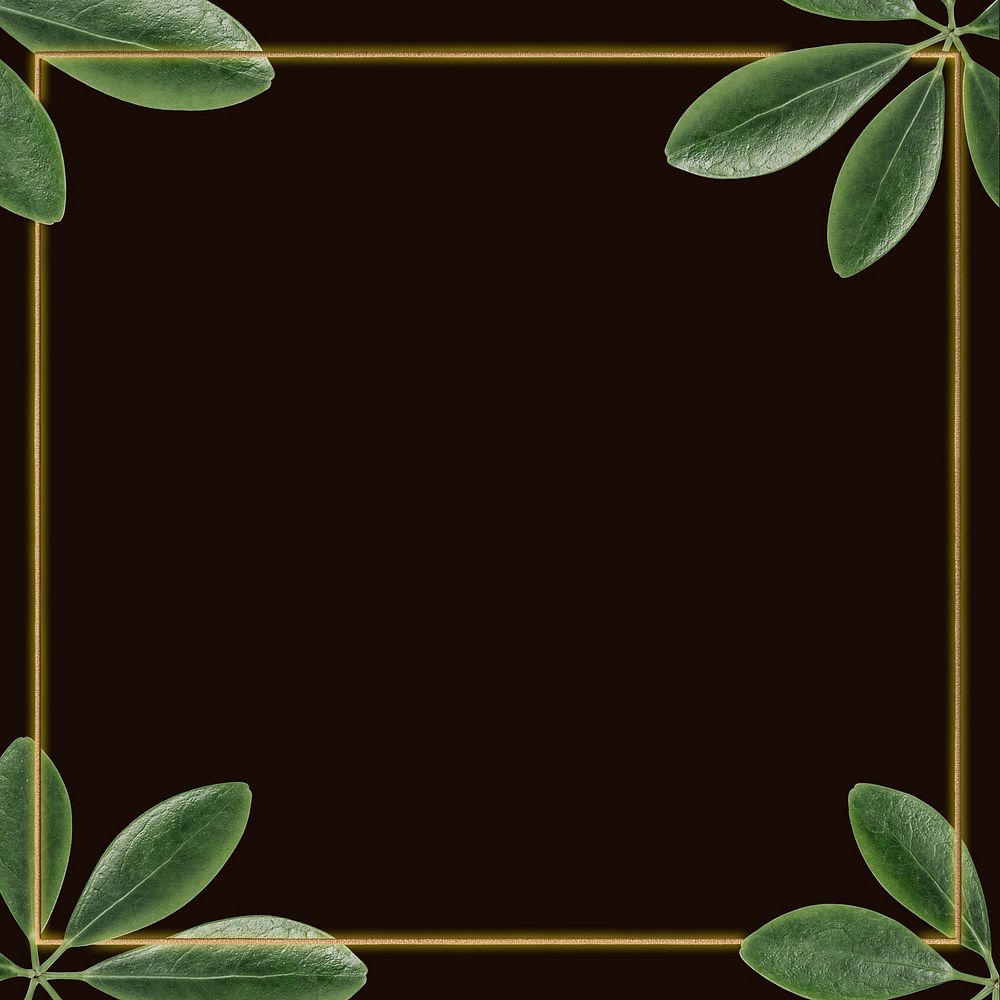 Green leaves with golden square frame