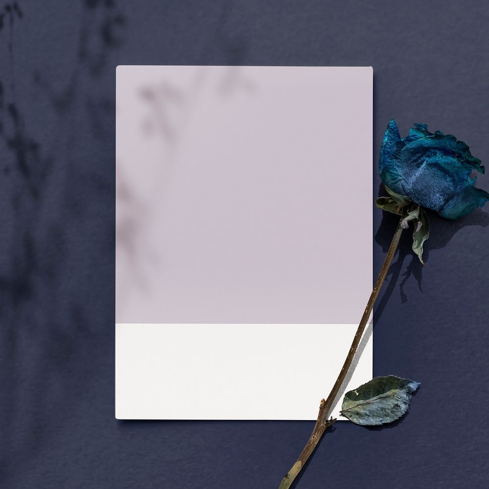 Blank purple card with dried blue rose on a blue background
