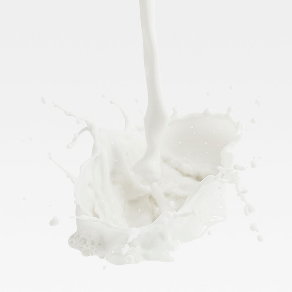 Fresh milk splashing on white background