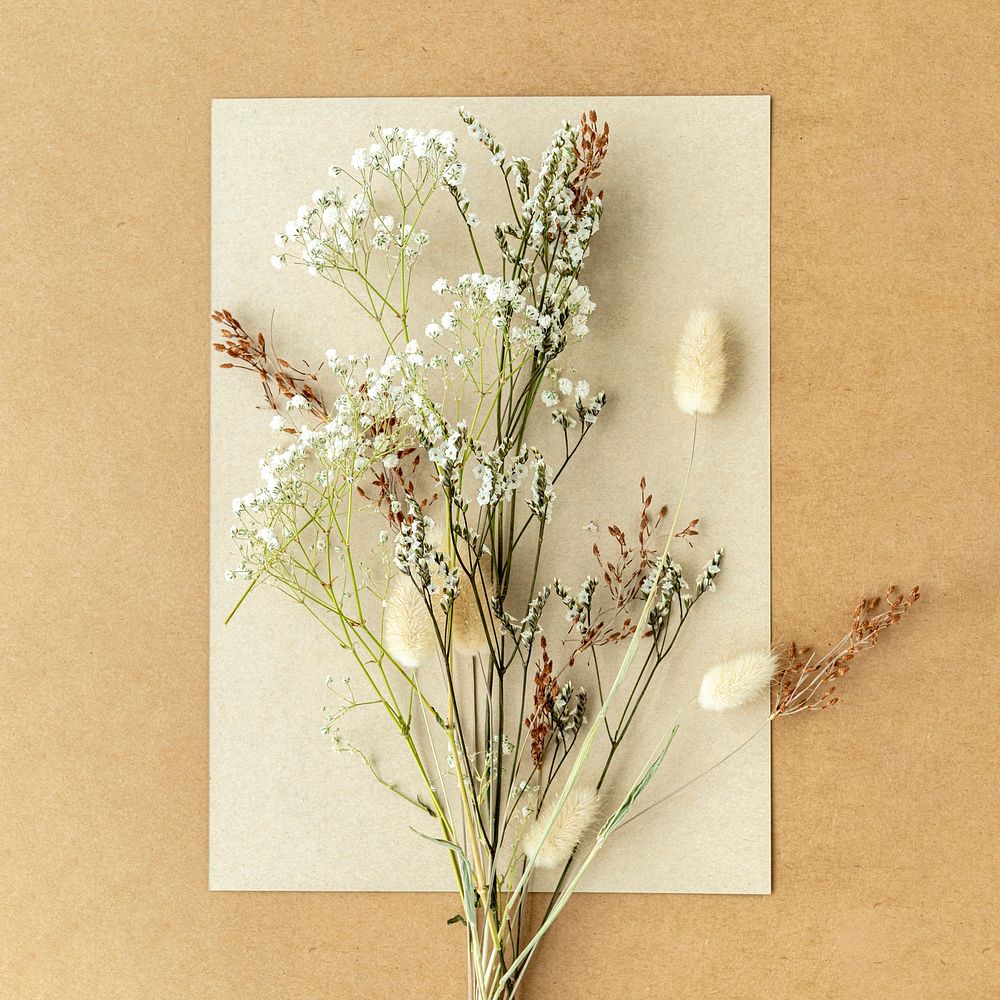 Flower branch on a natural paper 