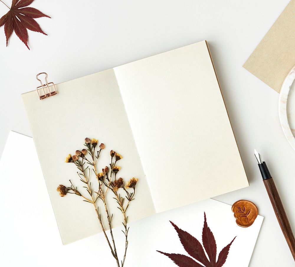 White notebook with dried plant