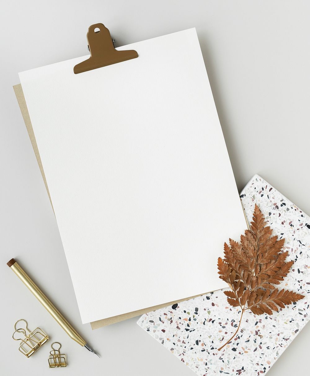 Blank white paper with dried leaves