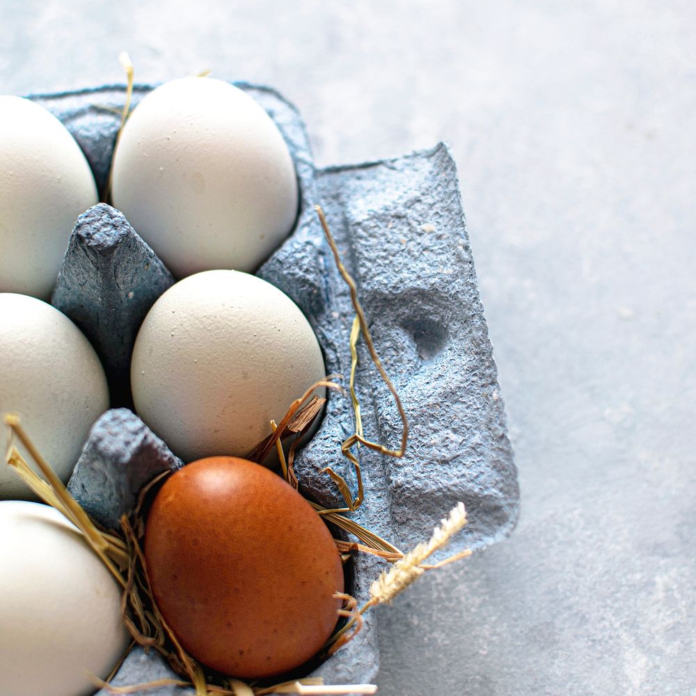 Fresh Cotswold egg in a carton 