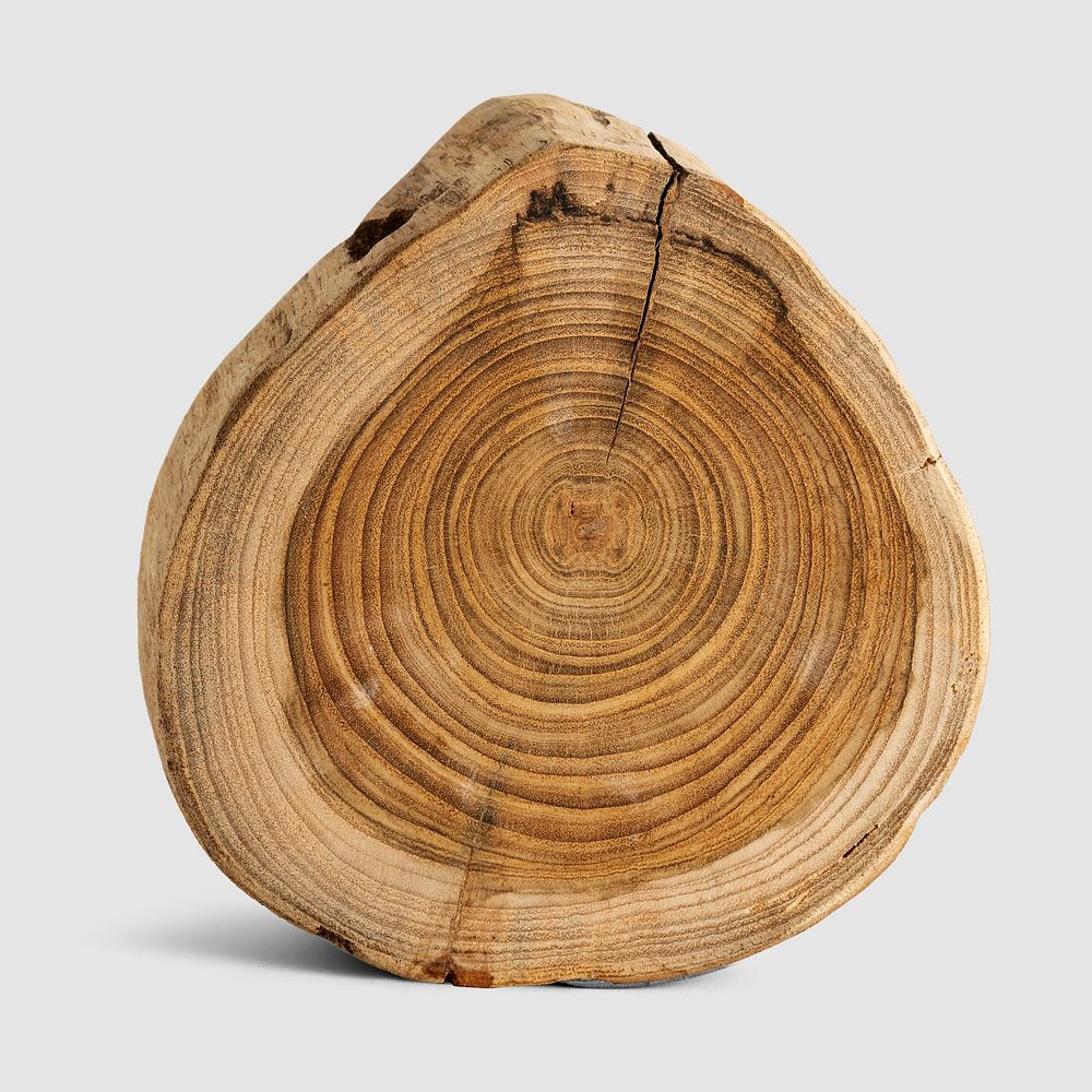Single chopped wood slice mockup design resource