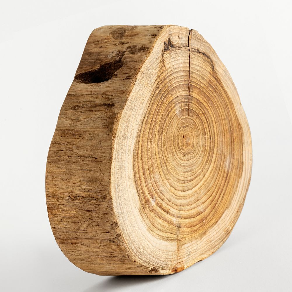 Single chopped wood slice design resource