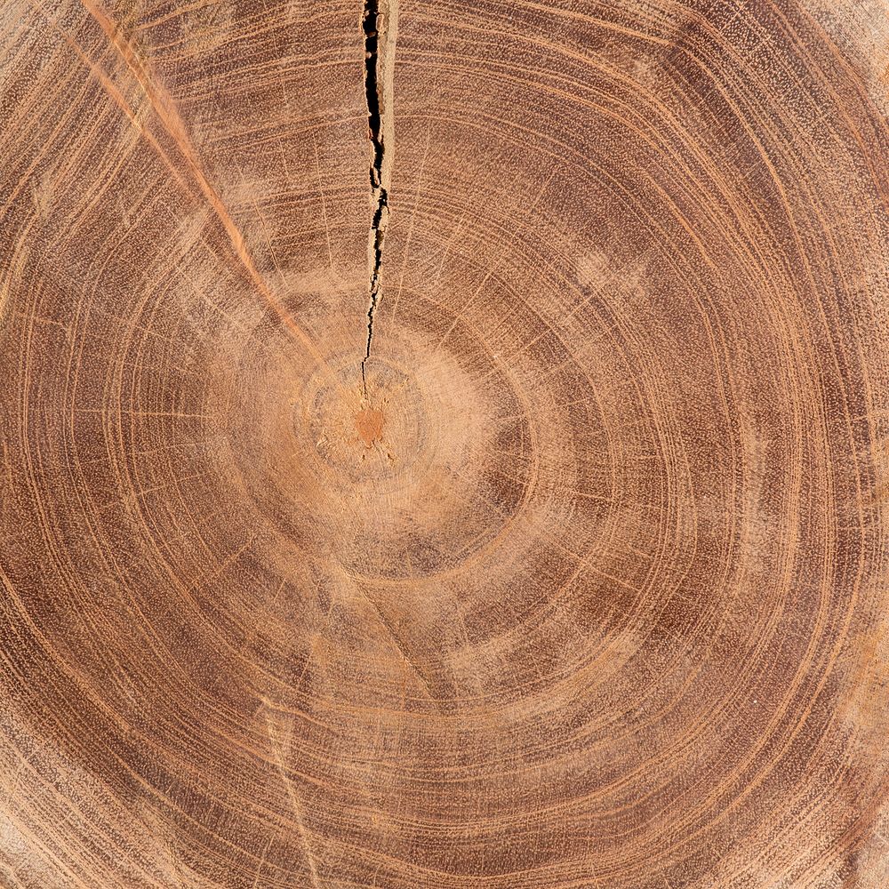 Wooden chopped log texture design resource 