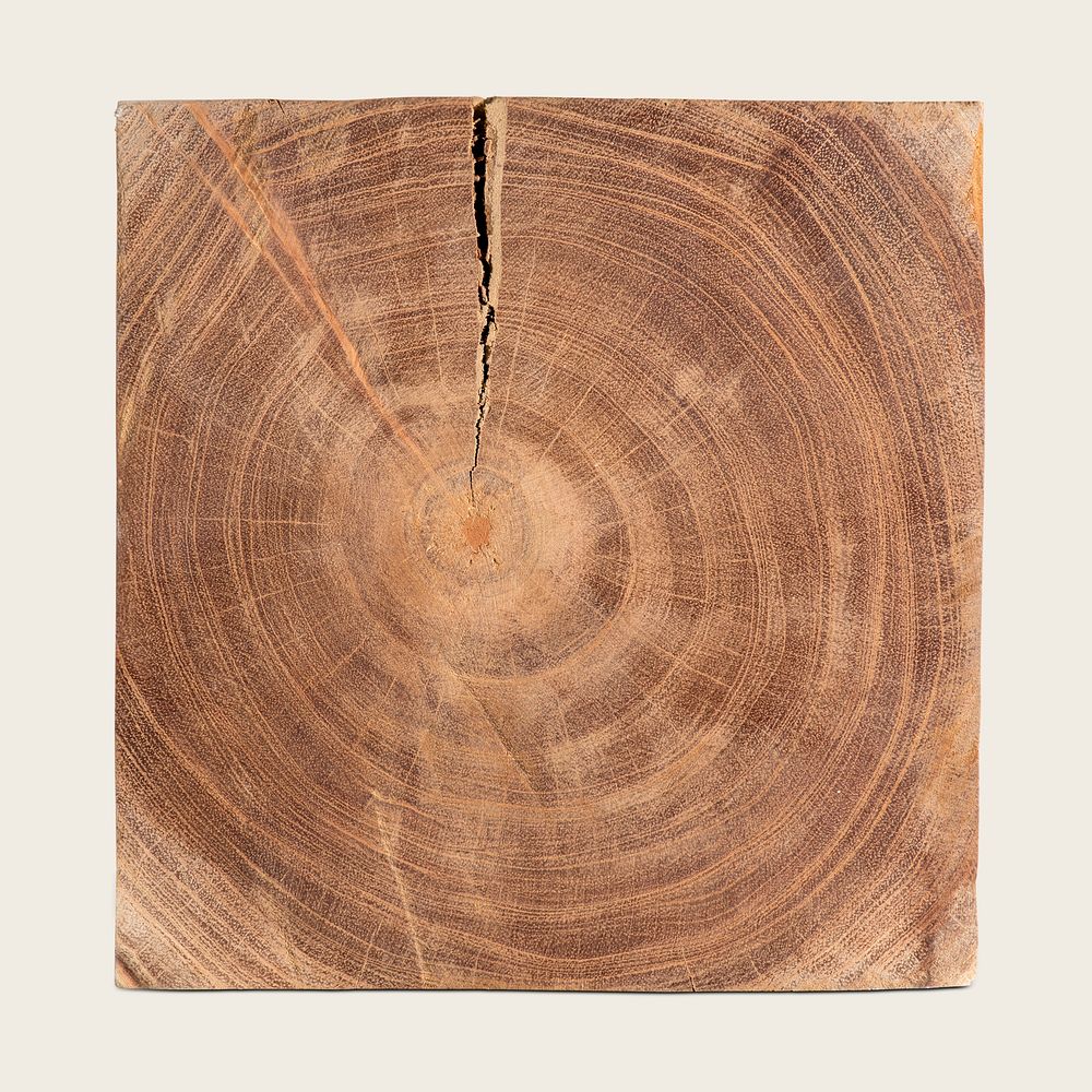 Wooden chopped log mockup