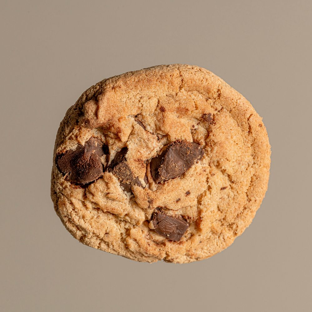 Single chocolate chip cookie closeup isolated on gray background