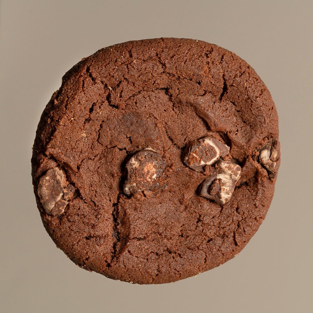 Single double chocolate chip cookie closeup isolated on gray background