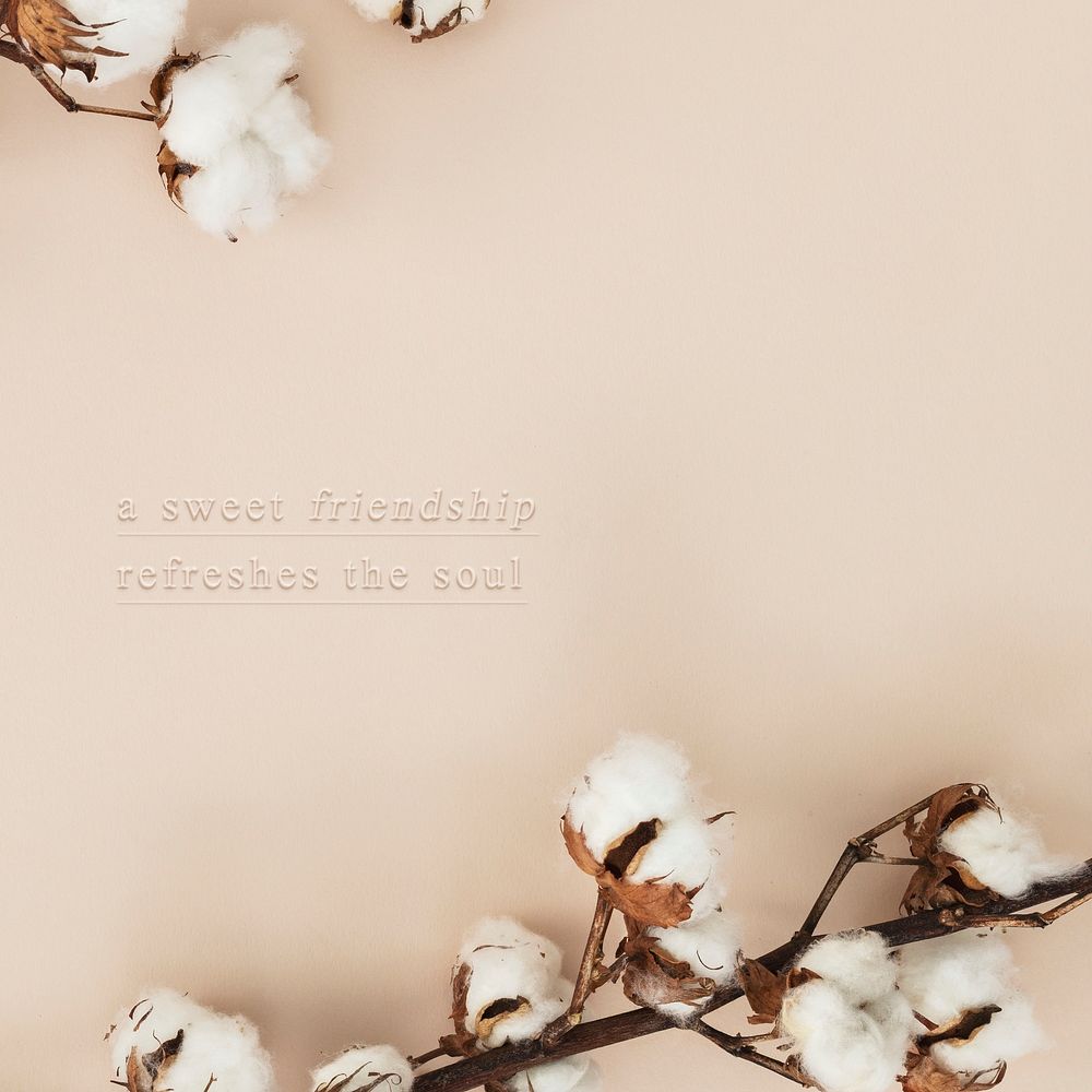 Cotton flower branch on a beige background mockup
