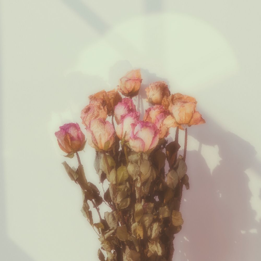 Bouquet of dried roses background