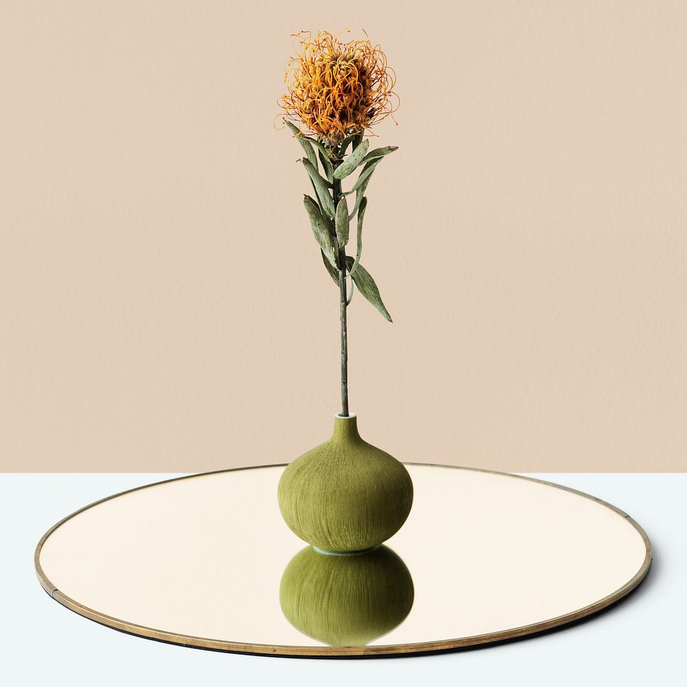 Orange pincushion Protea in a round green vase on a shiny tray