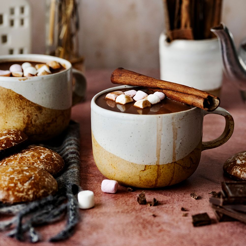 Hot chocolate with cinnamon sticks holiday food photography