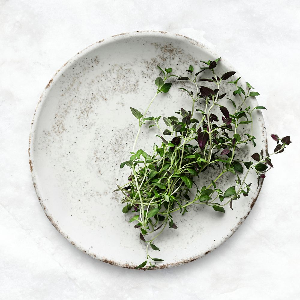 Thyme leaves on plate psd fresh herbs flat lay