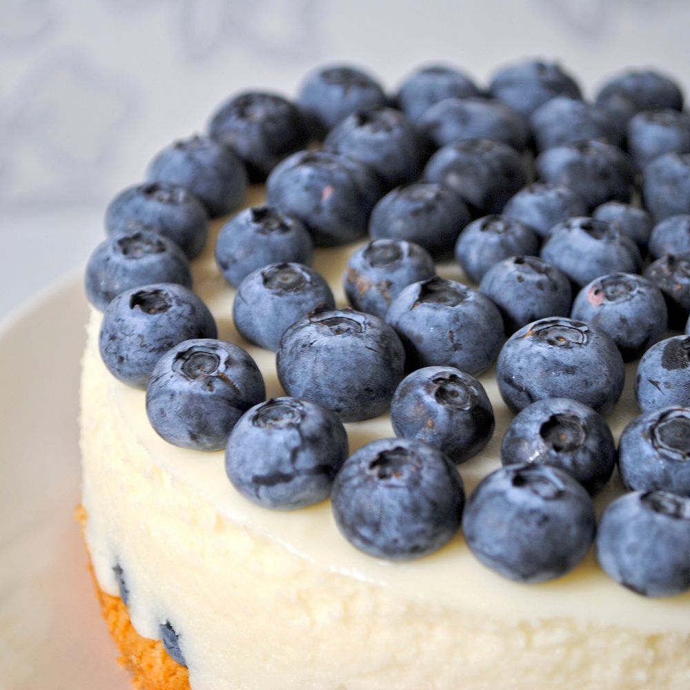 Free blueberry cheesecake image, public domain CC0 photo.