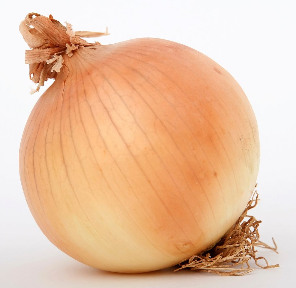 Free white onion image, public domain food CC0 photo.