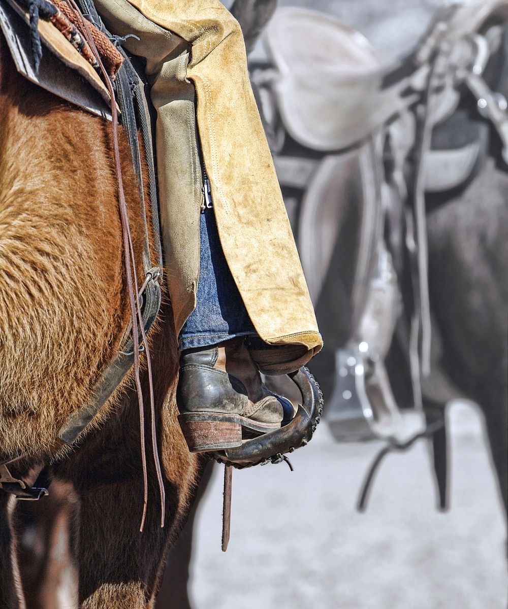 Free person riding horse, saddle closeup image, public domain CC0 photo.